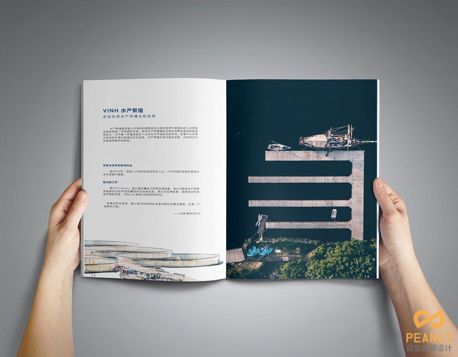 巴沙魚(yú)食品宣傳冊設計|廣州食品宣傳冊設計-廣州花生品牌設計,廣州水產(chǎn)品畫(huà)冊設計,廣州海鮮宣傳冊設計