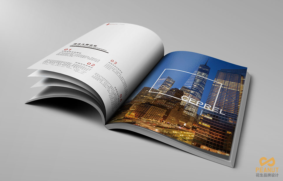 頂尖的番禺畫(huà)冊設計公司哪里找|廣州花生品牌設計