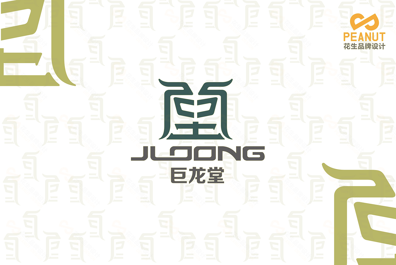 巨龍堂品牌VI設計|廣州logo設計公司|廣州VI設計公司-花生品牌設計
