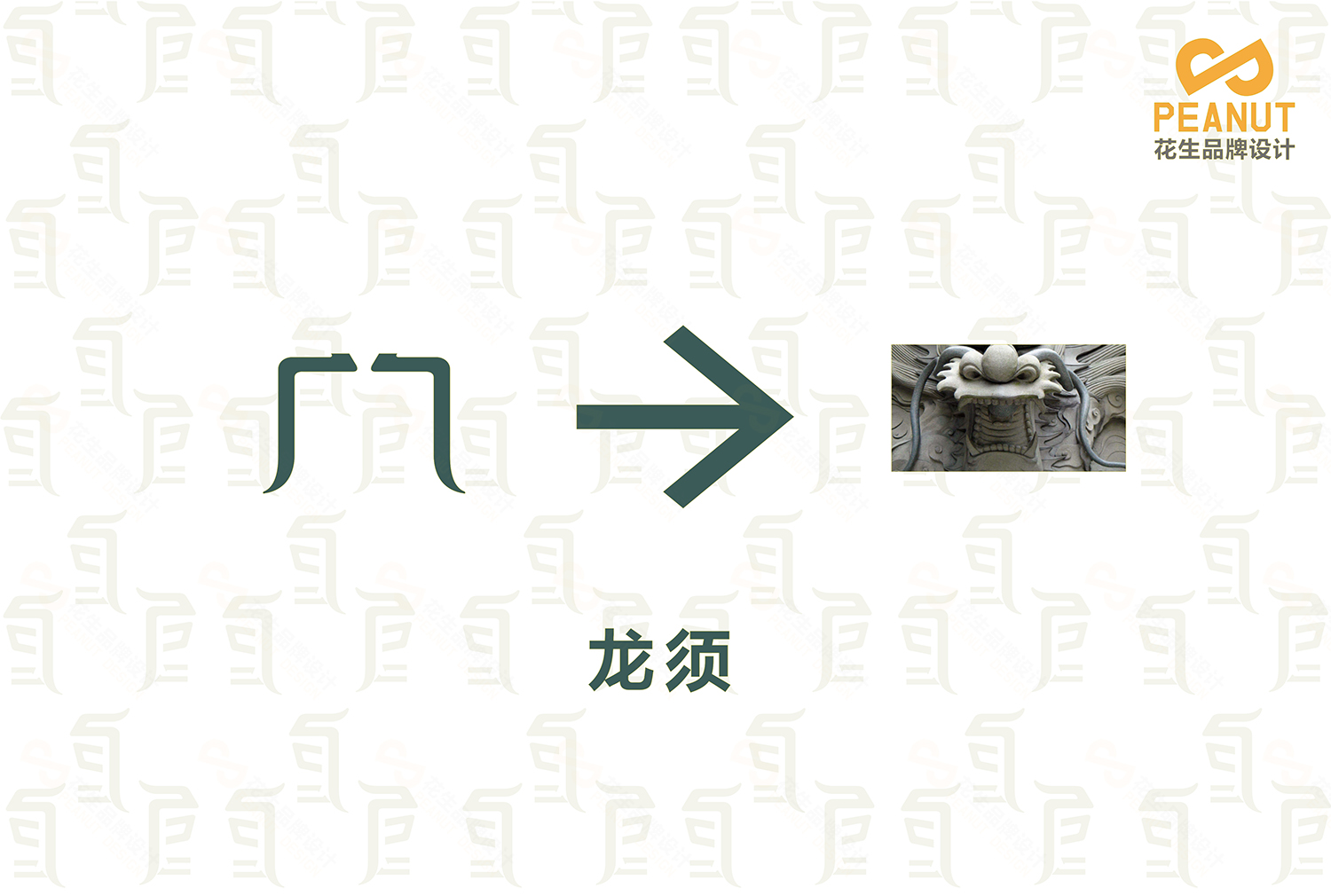 巨龍堂品牌VI設計|廣州logo設計公司|廣州VI設計公司-花生品牌設計